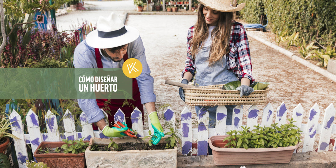 Diseño de huerto en jardín: cómo hacerlo paso a paso