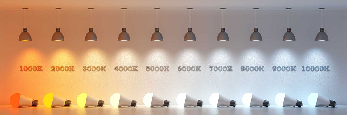 Luz de pared LED 11W 770lm 4.000K Blanco Filux F9096 FILUX - 3