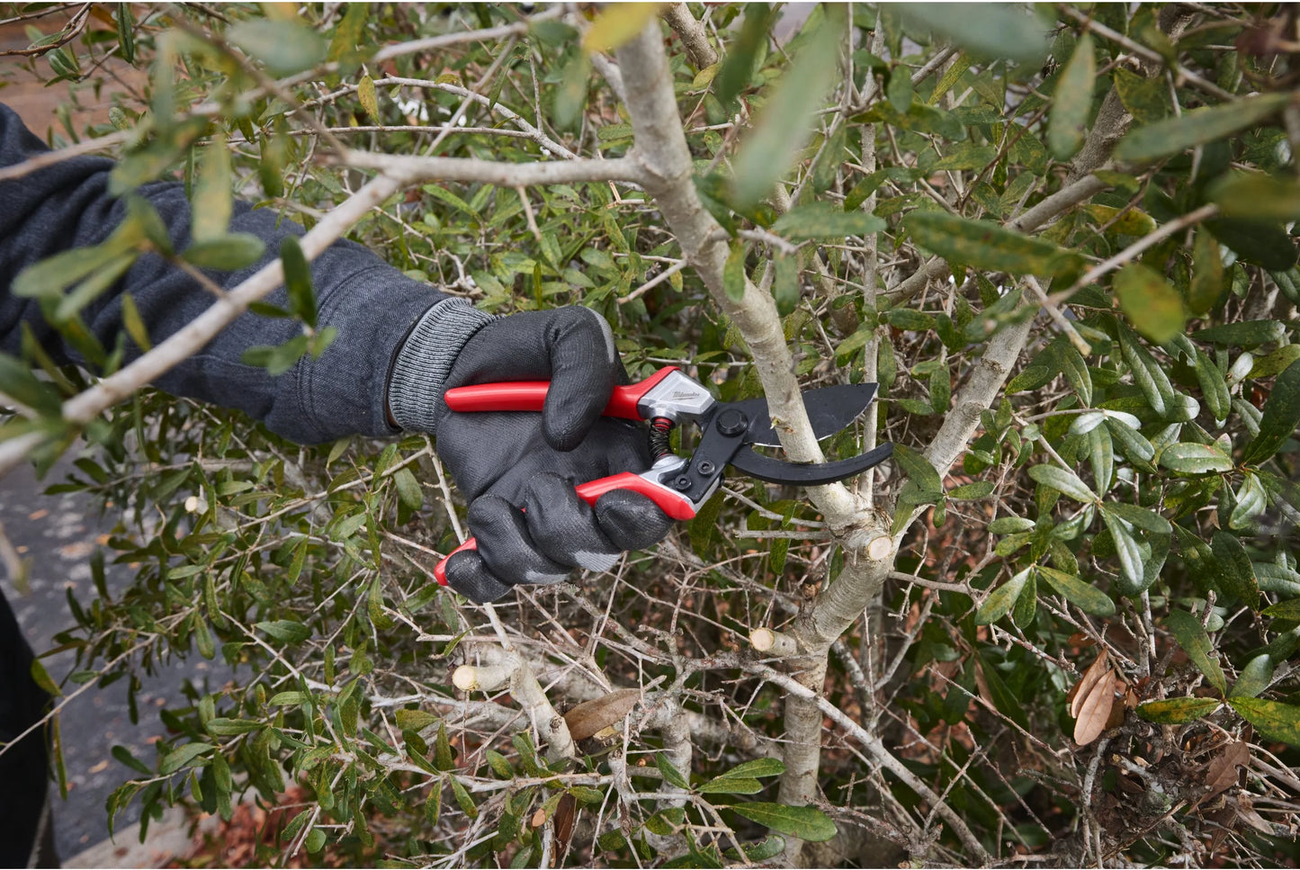 Milwaukee 25mm Bypass Pruning Shears