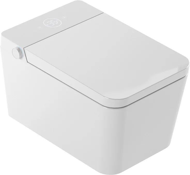 WC Japonais avec Nettoyage Intelligent Mizubath Island Suspendu Blanc
